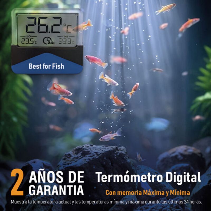 B4F EXTERN DIGITAL TERMOMETER