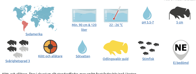 RÖDMUNSTETRA ODL. Petitella rhodostomus