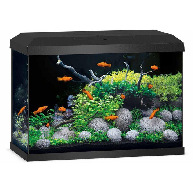 Huvudbild Juwel Akvarium Primo 70 2.0 61x31x44cm 
