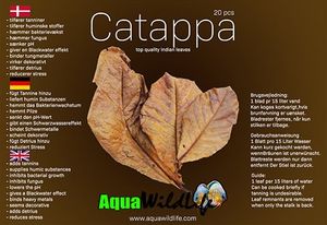 Catappa Ketapang