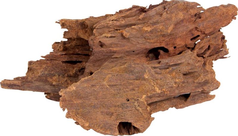 Mangrove trädrötter S - 15cm- 23cm  