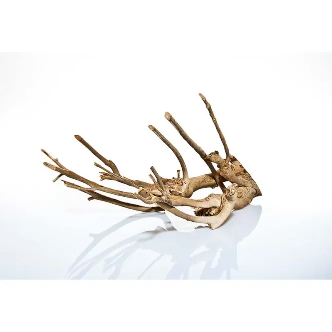 Huvudbild Talawa Wood 30-45cm